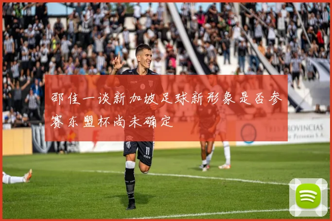 邵佳一谈新加坡足球新形象是否参赛东盟杯尚未确定