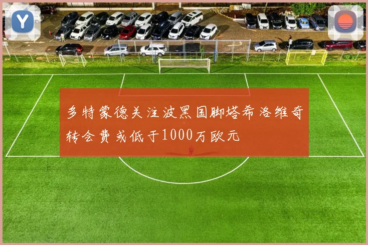 多特蒙德关注波黑国脚塔希洛维奇转会费或低于1000万欧元